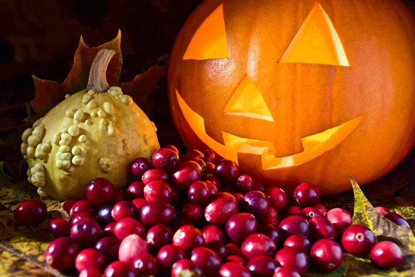 Still-life with pumpkins and cranberry — Stock Photo, Image