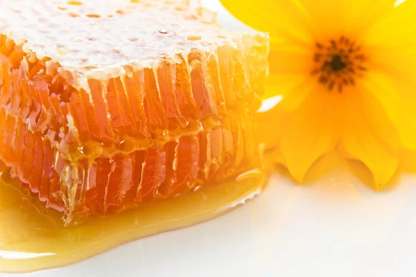 Γλυκό κερήθρα με μέλι — Φωτογραφία Αρχείου