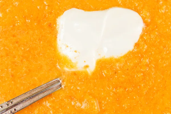 Pumpkin soup — Stock Photo, Image