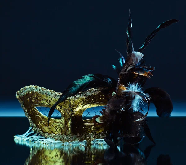 羽とベネチアン マスク — ストック写真
