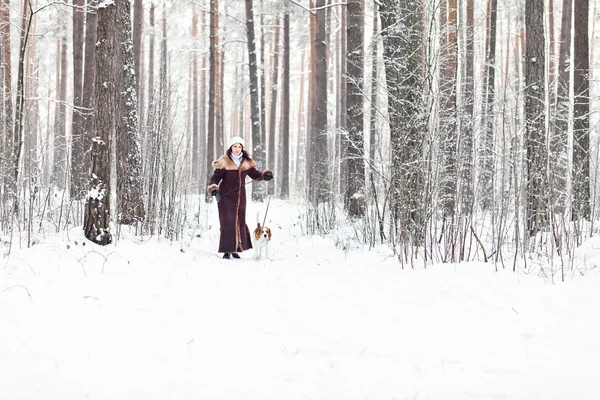 Walking in forest — Stock Photo, Image