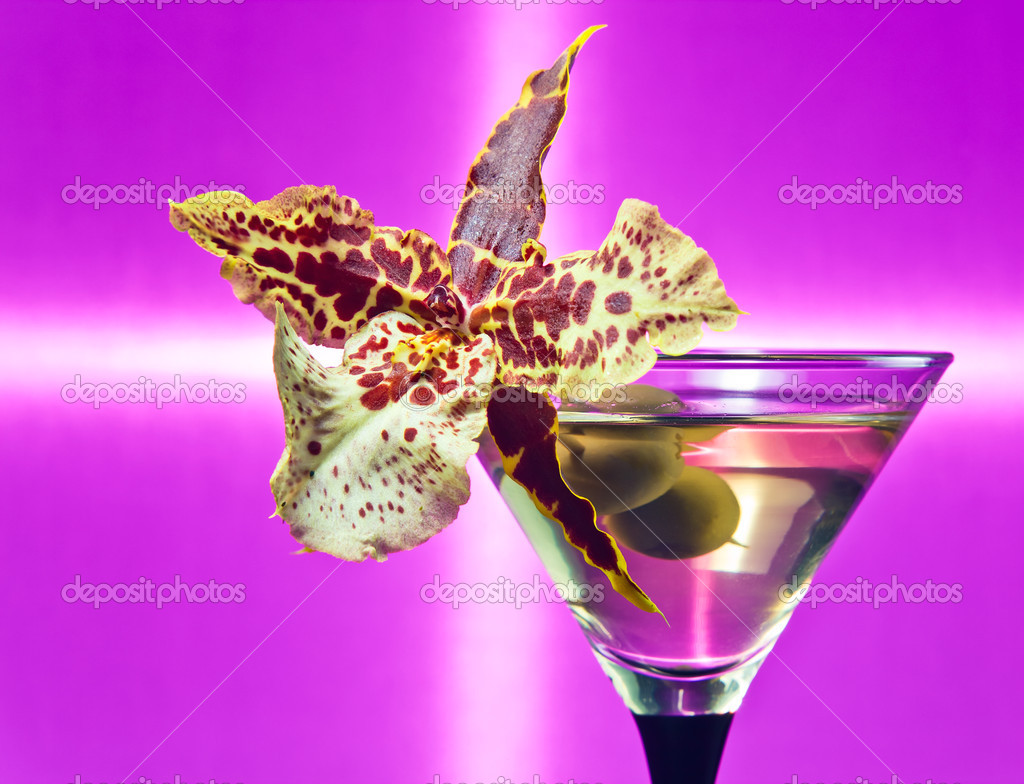 Martini with green olives Stock Photo by ©igorr1 17153203