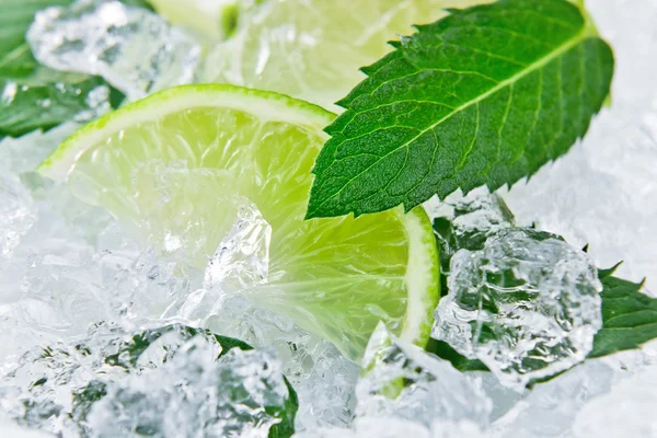 Lime and peppermint — Stock Photo, Image