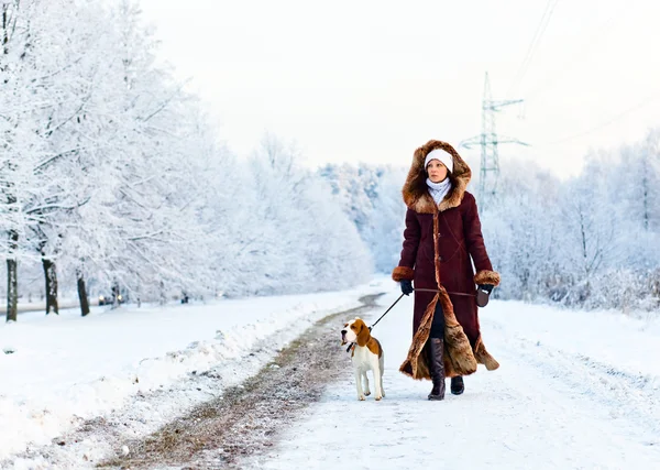 Camminare con un cane — Foto Stock