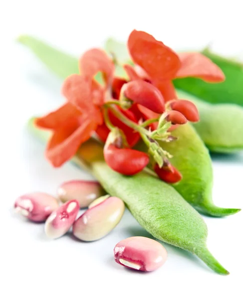 String beans — Stock Photo, Image