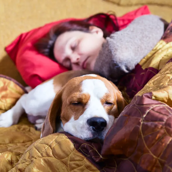 Śpiąca kobieta i jej pies — Zdjęcie stockowe