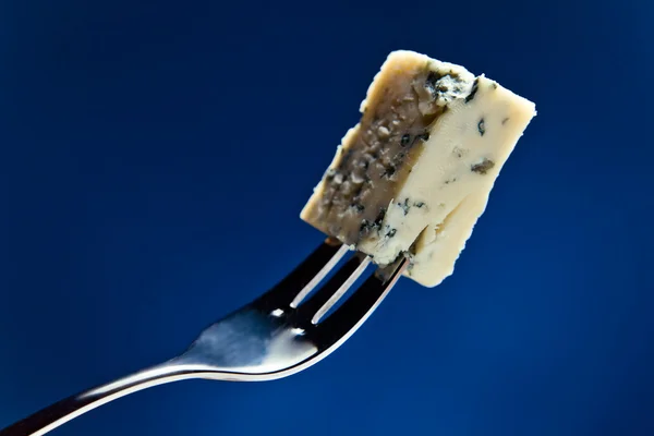 Cheese on a fork — Stock Photo, Image