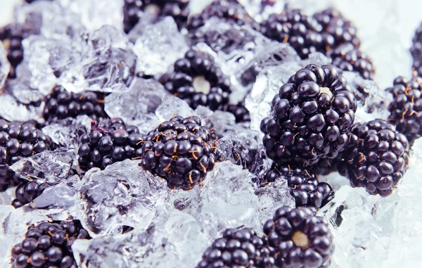 Blackberry со льдом — стоковое фото