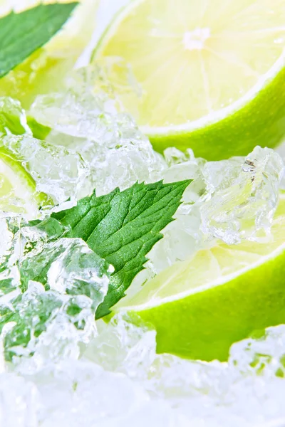 Lime and mint — Stock Photo, Image