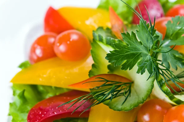 Frischer grüner Salat — Stockfoto