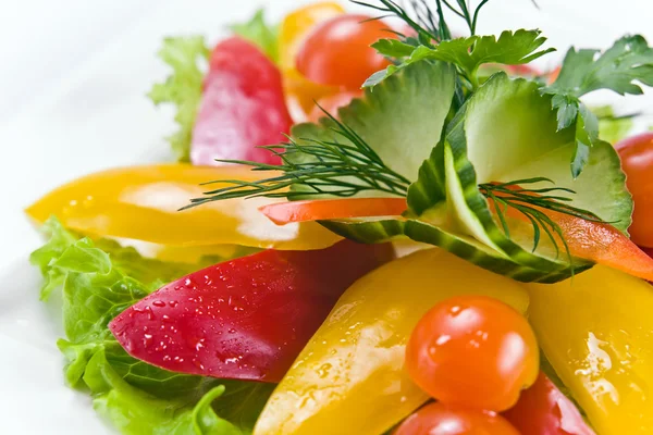 Verse groene salade — Stockfoto