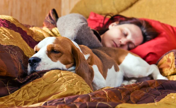 Спящая женщина и ее собака — стоковое фото