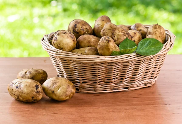 Kartoffeln — Stockfoto