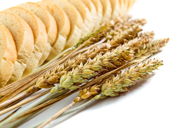 Bread and cereal ears — Stock Photo, Image