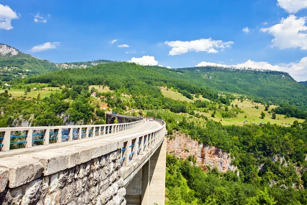 The highest bridge in Europe.Montenegro . — Stock Photo, Image