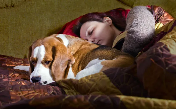 Alvó nő, és a kutya — Stock Fotó