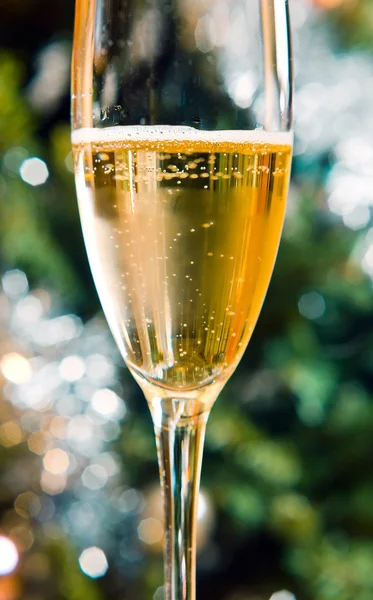 Champagne — Stockfoto