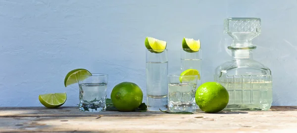 Tequila a vápno — Stock fotografie
