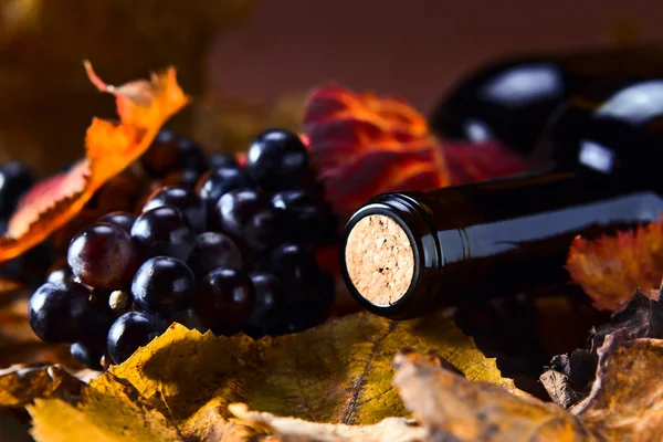 Garrafa com vinho — Fotografia de Stock