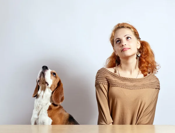 Dívka a beagle — Stock fotografie