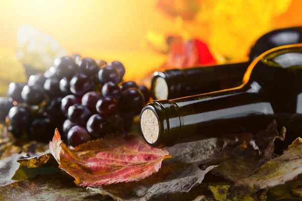Flasche mit Wein — Stockfoto