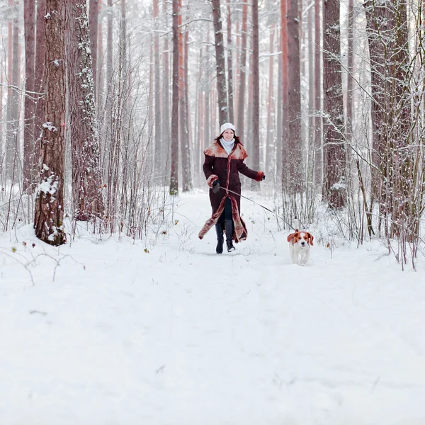 Camminare con il cane — Foto Stock