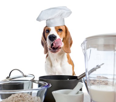 Beagle mutfak