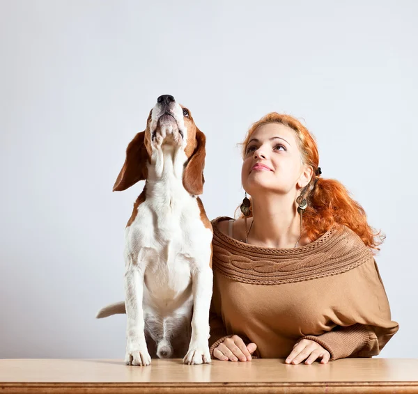 Flicka och beagle — Stockfoto