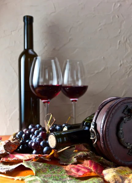 와인 병 — 스톡 사진