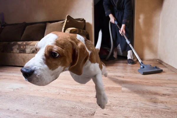 Very terrible vacuum cleaner — Stock Photo, Image