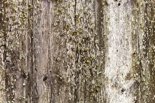 Old wooden wall — Stock Photo, Image