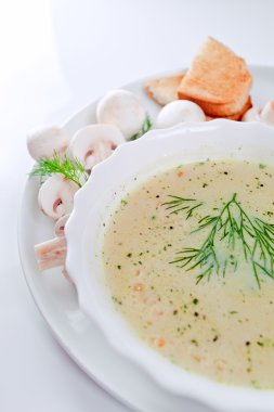 dereotu ile mantar çorbası