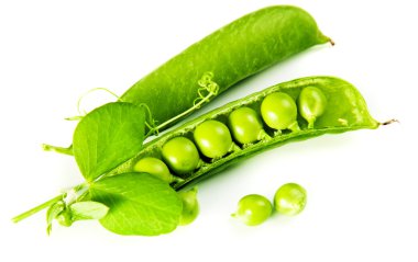 Beyazlar üzerinde yeşil bezelyeler