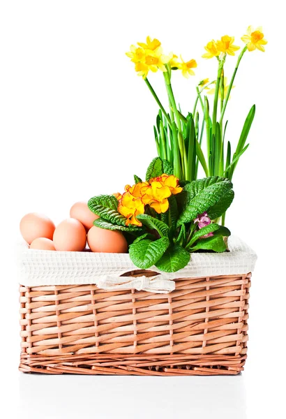 Cesta com flores de primavera e ovos — Fotografia de Stock