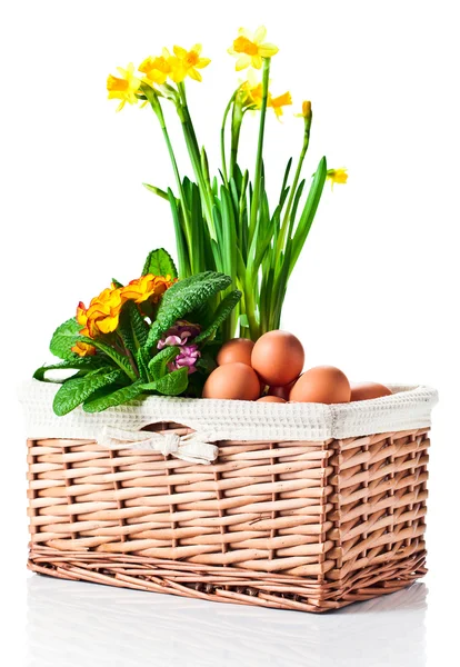 Basket with spring flowers and eggs — Stock Photo, Image