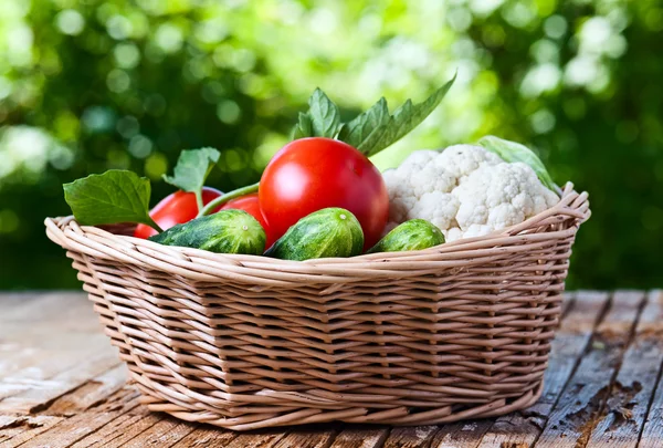 Verduras en cesta —  Fotos de Stock