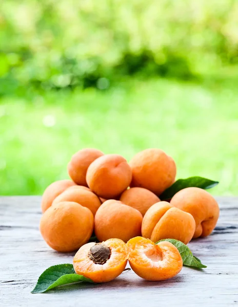 Apricots — Stock Photo, Image