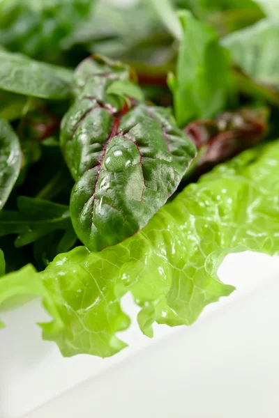 Kom van gemengde salade — Stockfoto