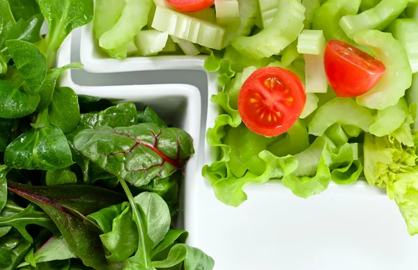 Schüssel mit gemischtem Salat — Stockfoto