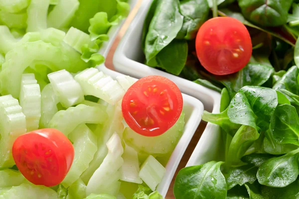 Blandad sallad — Stockfoto