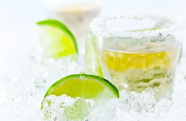 Gold tequila with salt and lime — Stock Photo, Image