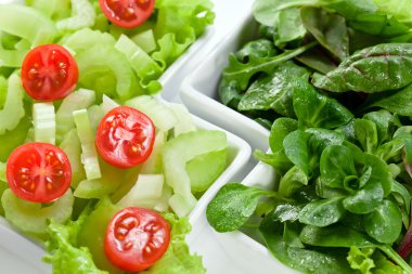 karışık salata kâsesi 