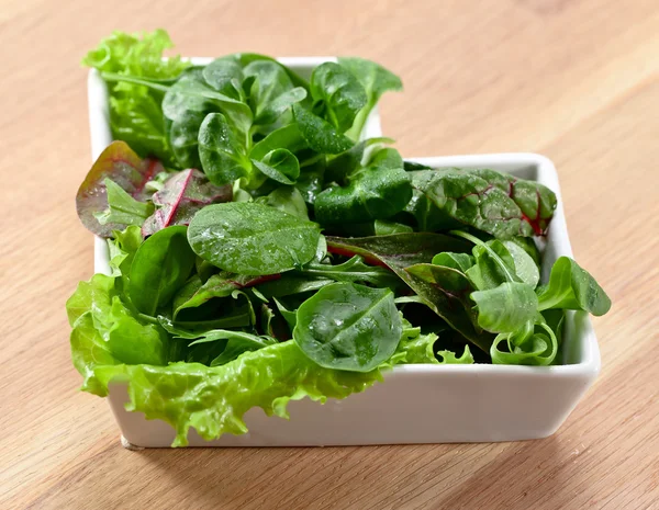 Blandad sallad — Stockfoto