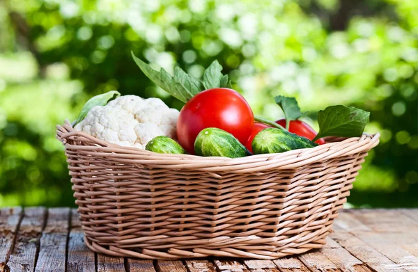 Verduras en cesta —  Fotos de Stock