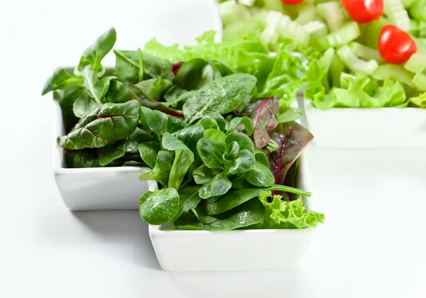 Bowl of mixed salad — Stock Photo, Image