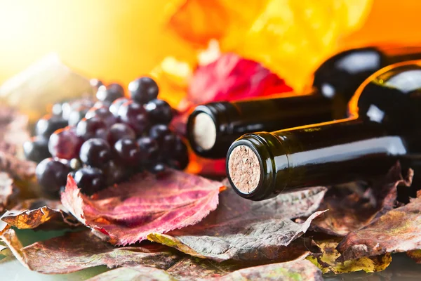 Garrafa com vinho — Fotografia de Stock