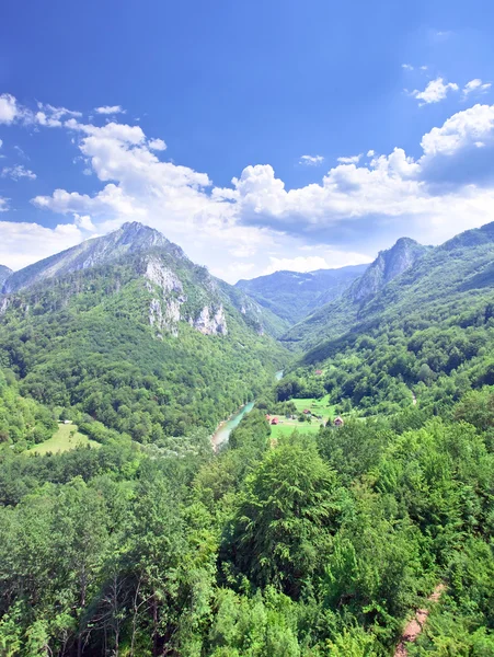 Mountain landscape, Montenegro — Stock Photo, Image