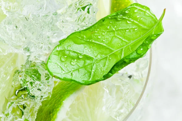 Trozos de lima y hojas de menta con hielo — Foto de Stock