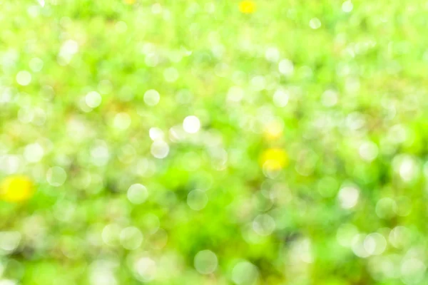 Natural summer defocused background — Stock Photo, Image