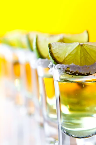 Tequila , lime and salt — Stock Photo, Image